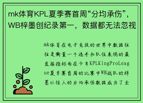 mk体育KPL夏季赛首周“分均承伤”，WB梓墨创纪录第一，数据都无法忽视的英雄 - 副本