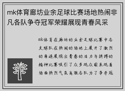 mk体育廊坊业余足球比赛场地热闹非凡各队争夺冠军荣耀展现青春风采